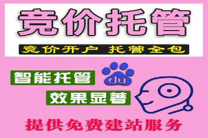 百度SEM代运营案例：如何通过精准投放提升广告效果